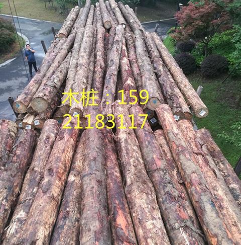 Australian pine wood pile