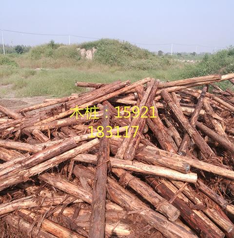 fir logs